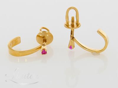 Kuldkõrvarõngad 583*