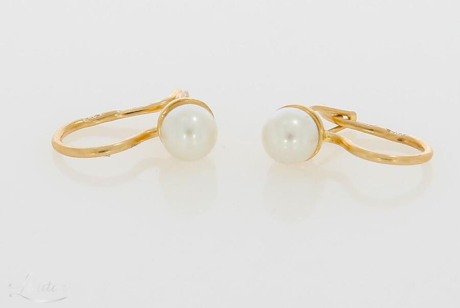 Kuldkõrvarõngad 585*