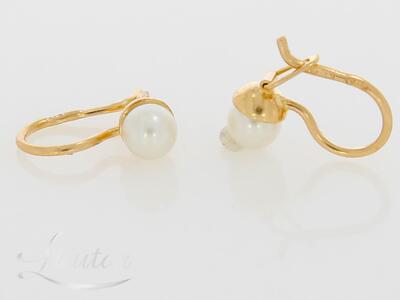 Kuldkõrvarõngad 585*