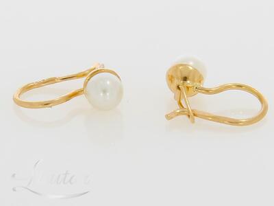 Kuldkõrvarõngad 585*