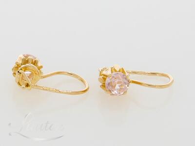 Kuldkõrvarõngad 583*