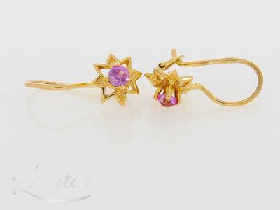 Kuldkõrvarõngad 583*