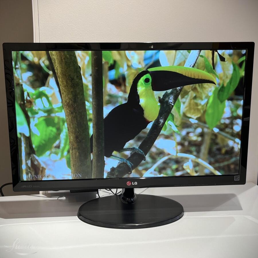 Monitor LG Flatron 24EA53VQ-P