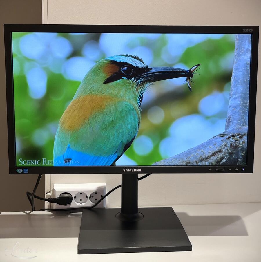 Monitor Samsung S24E650PL