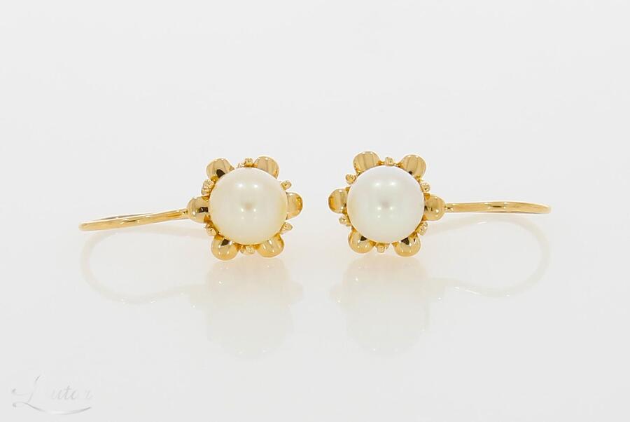 Kuldkõrvarõngad 585*