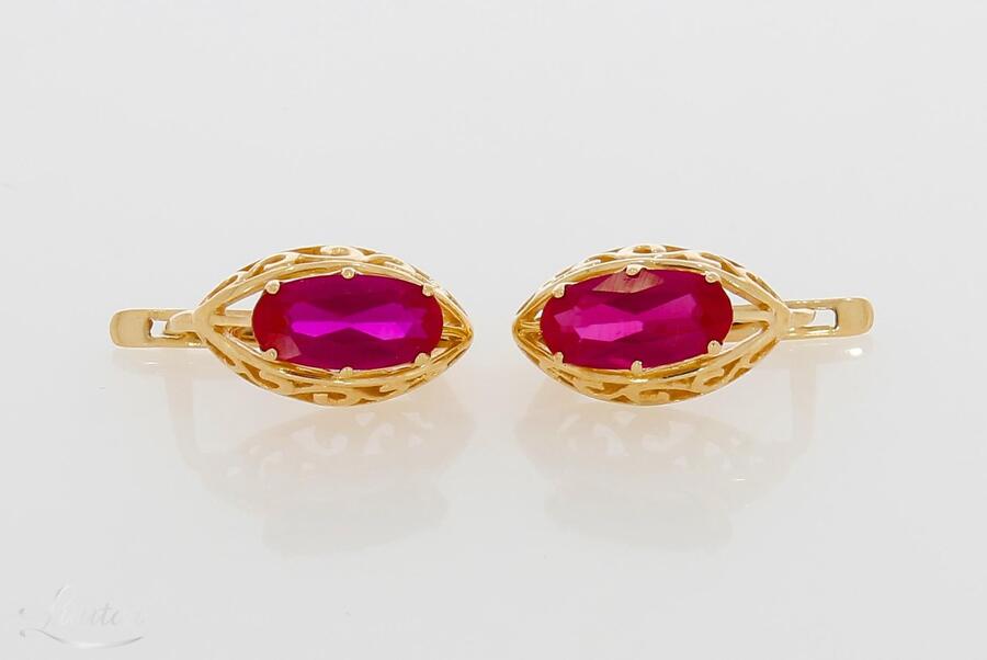 Kuldkõrvarõngad 585*