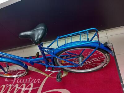 Jalgratas Kands 24'' Folding