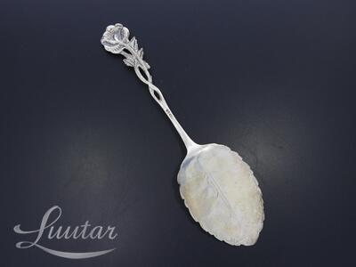 Hõbe tordilabidas 800*