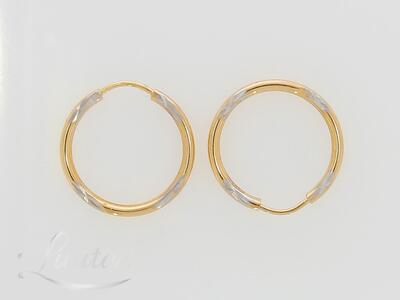 Kuldkõrvarõngad 585*