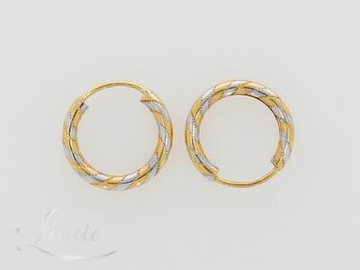 Kuldkõrvarõngad 585*