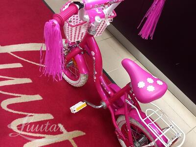 Jalgratas Mexller Village 12"