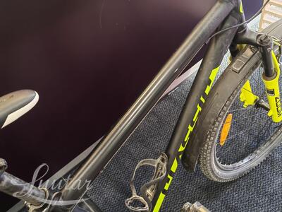 Jalgratas  Classic Zoom Team 26"