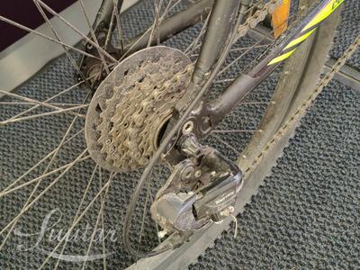 Jalgratas  Classic Zoom Team 26"