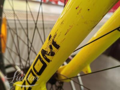 Jalgratas  Classic Zoom Team 26"