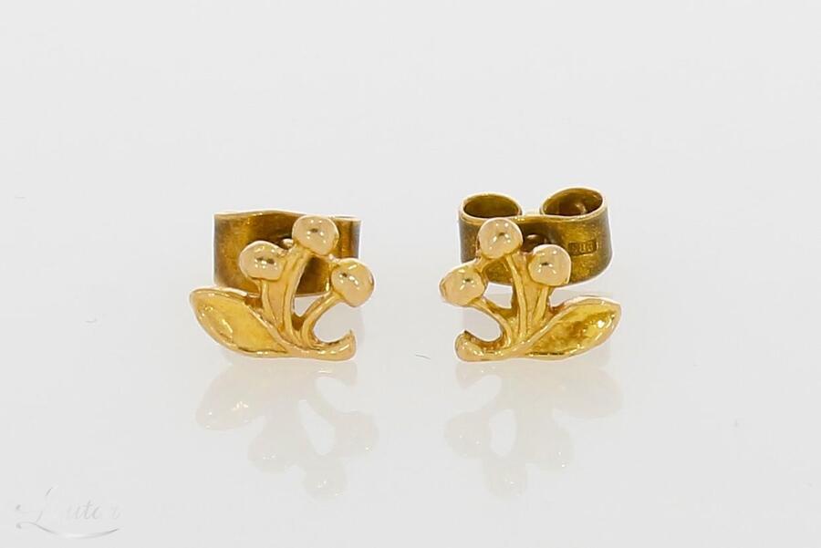 Kuldkõrvarõngad 585*