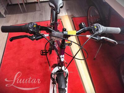 Laste jalgratas Muddyfox Synergy 24"