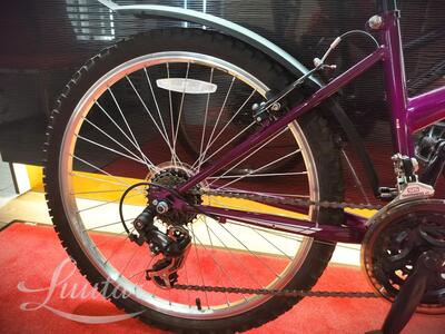 Laste jalgratas Muddyfox Synergy 24"