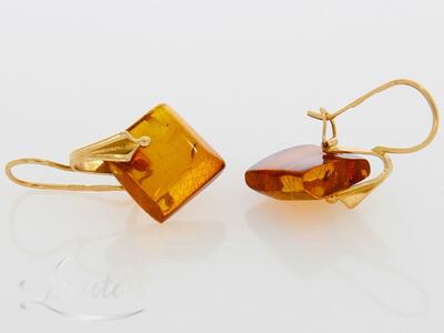 Kuldkõrvarõngad 583*