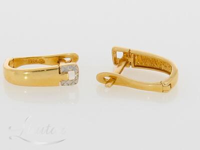 Kuldkõrvarõngad 585*