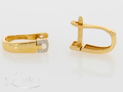 Kuldkõrvarõngad 585*