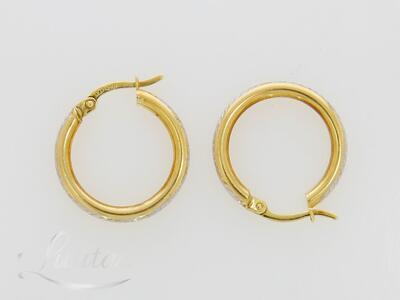 Kuldkõrvarõngad 585*