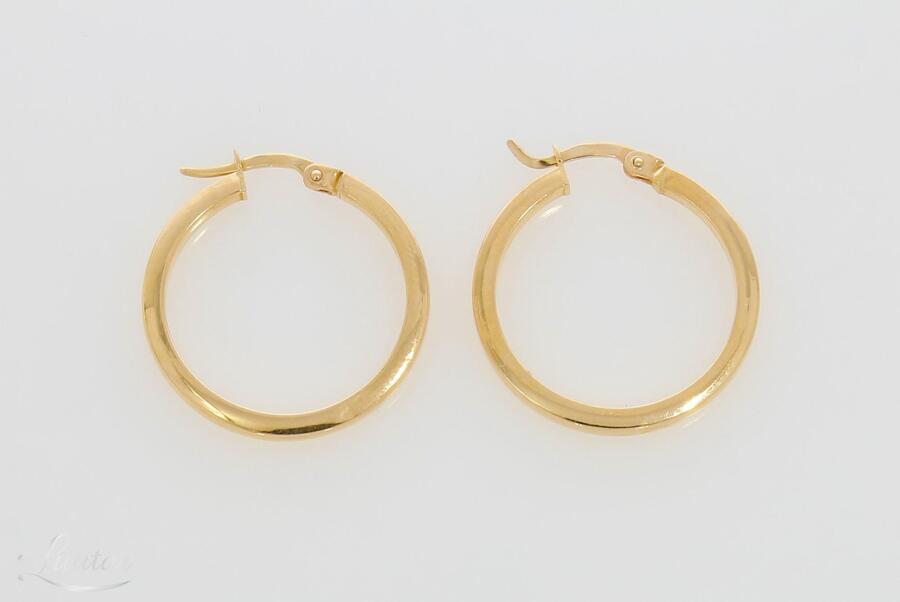 Kuldkõrvarõngad 585*