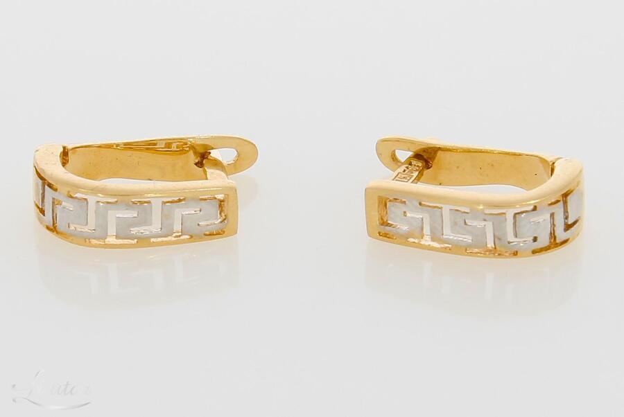 Kuldkõrvarõngad 585*