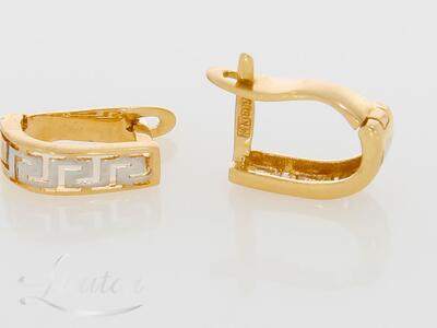 Kuldkõrvarõngad 585*