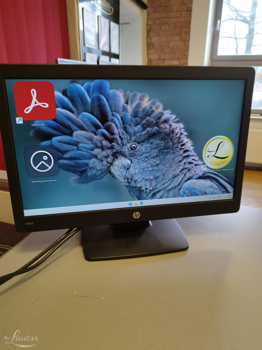 Monitor HP P203