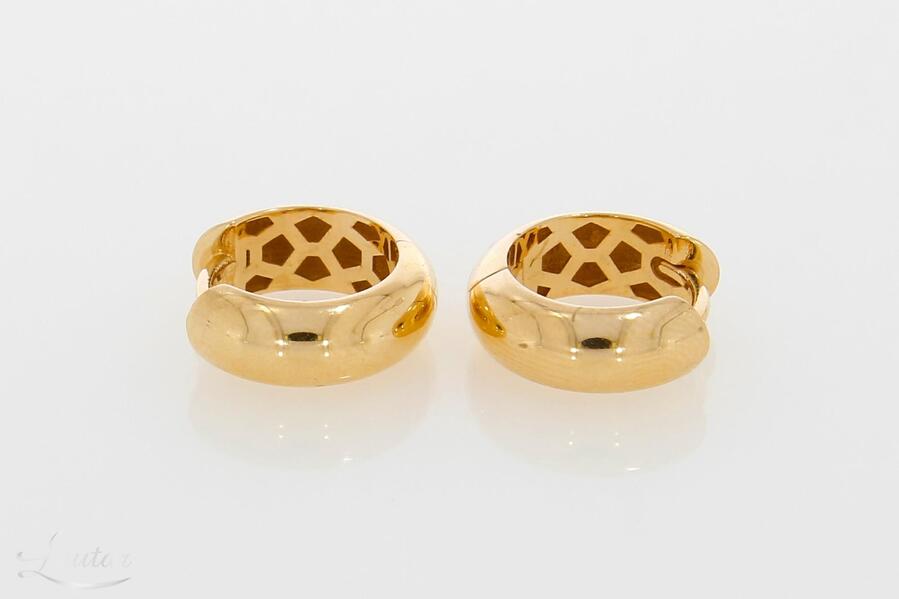 Kuldkõrvarõngad 585*