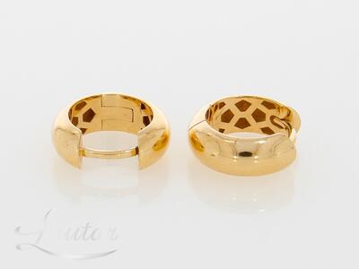 Kuldkõrvarõngad 585*