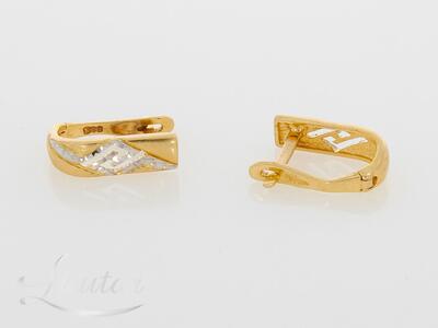 Kuldkõrvarõngad 585*