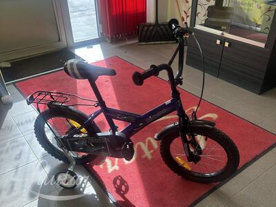 Jalgratas Teamraider