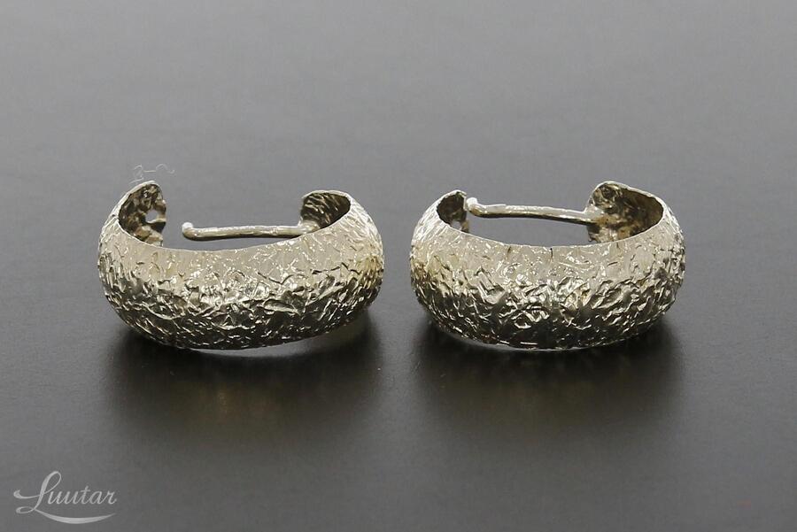 Hõbekõrvarõngad 925*