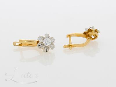 Kuldkõrvarõngad 585*