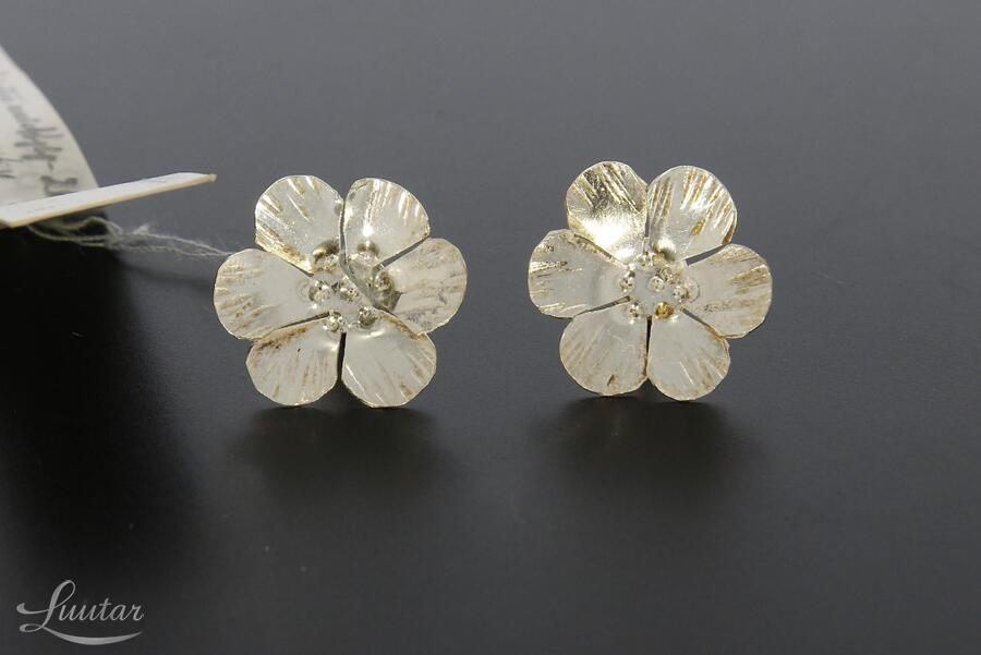 Hõbekõrvarõngad 925* UUED! Käsitöö! Vivian Schotowsky