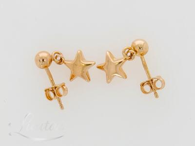 Kuldkõrvarõngad 585*