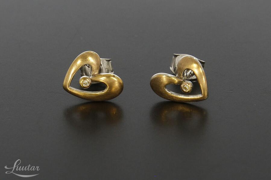 Hõbekõrvarõngad 925*