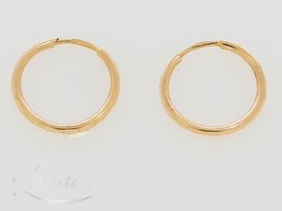 Kuldkõrvarõngad 585*