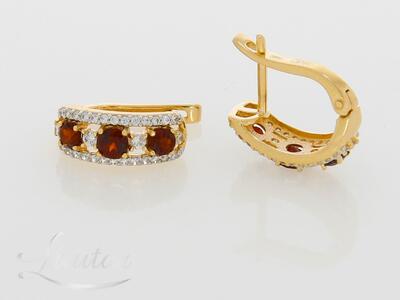 Kuldkõrvarõngad 585*