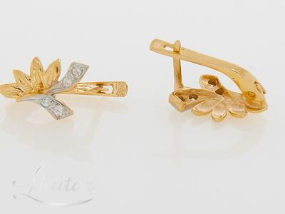 Kuldkõrvarõngad 585*