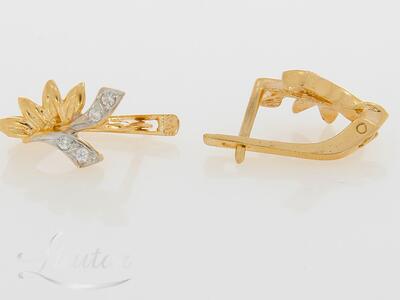 Kuldkõrvarõngad 585*