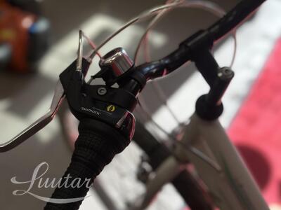 Jalgratas Laguna City VS-3