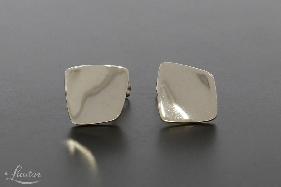 Hõbekõrvarõngad 925* UUED!