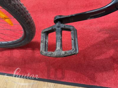 Jalgratas Trek Marlin 4