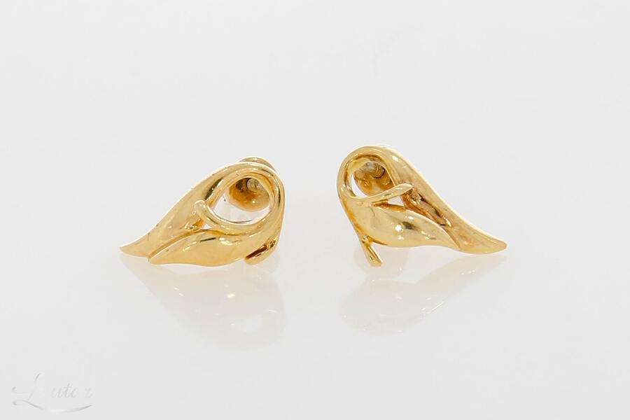 Kuldkõrvarõngad 585*