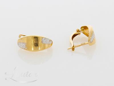 Kuldkõrvarõngad 585*