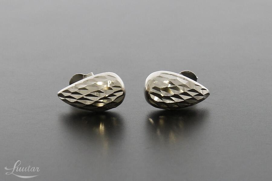 Hõbekõrvavõngad 925* UUED!