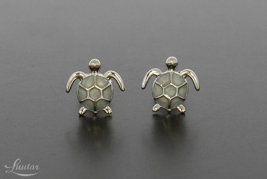 Hõbekõrvarõngad 925* UUED!