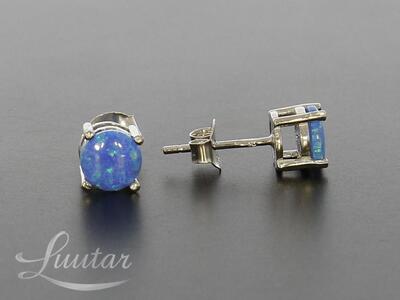 Hõbekõrvarõngad 925* UUED!